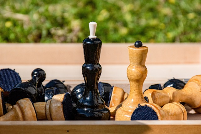 鲍队：来支持了助攻回礼了解一下 🏆❤️