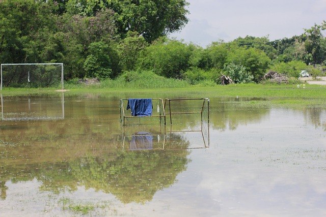 法媒：法国队明年3月将会在波士顿与巴西进行一场友谊赛
